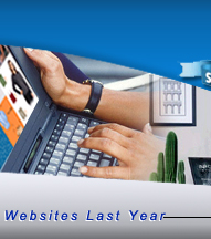 Web Site Marketing & Promotion